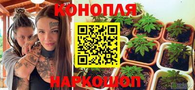 дмт Новозыбков