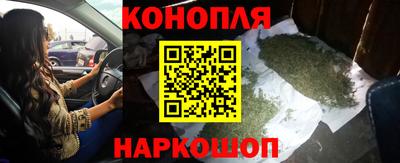 дмт Новозыбков