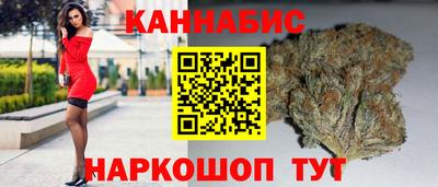 дмт Новозыбков