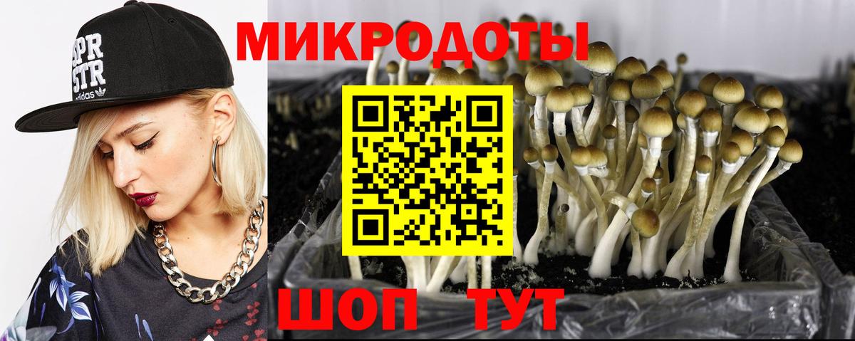 Псилоцибиновые грибы прущие грибы  Вход с VPN  Урус-Мартан  купить  сайты  Галлюциногенные грибы прущие грибы 